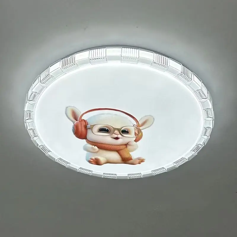 ceiling lamp (4)