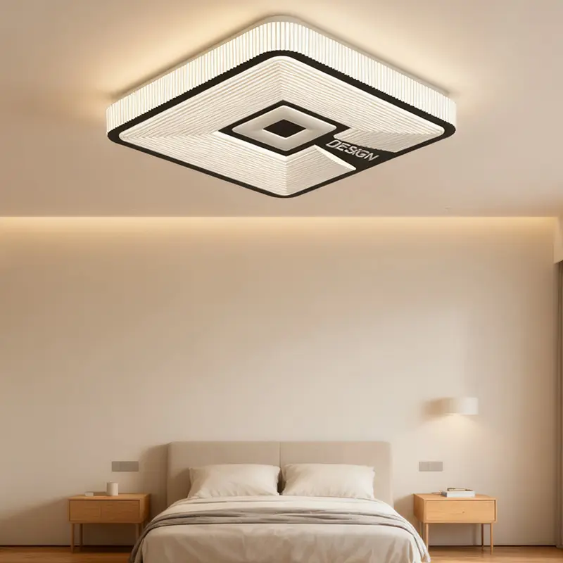 ceiling light (3).jpg