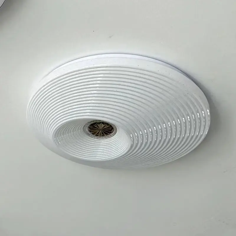 ceiling lamp (6)