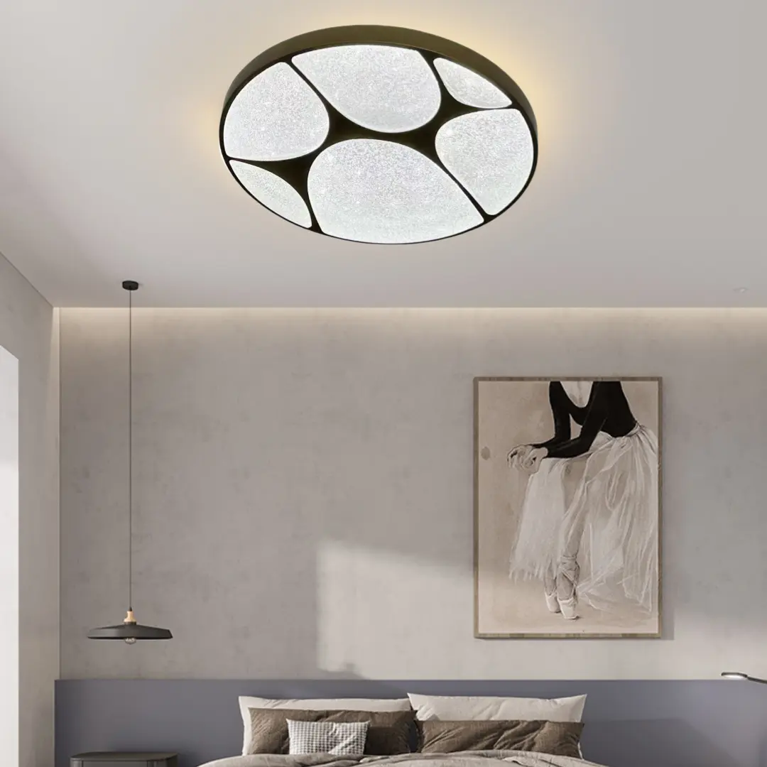 ceiling lamp (4).png