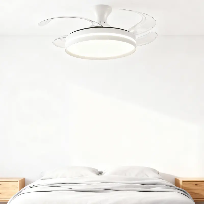 fan light (4).jpg
