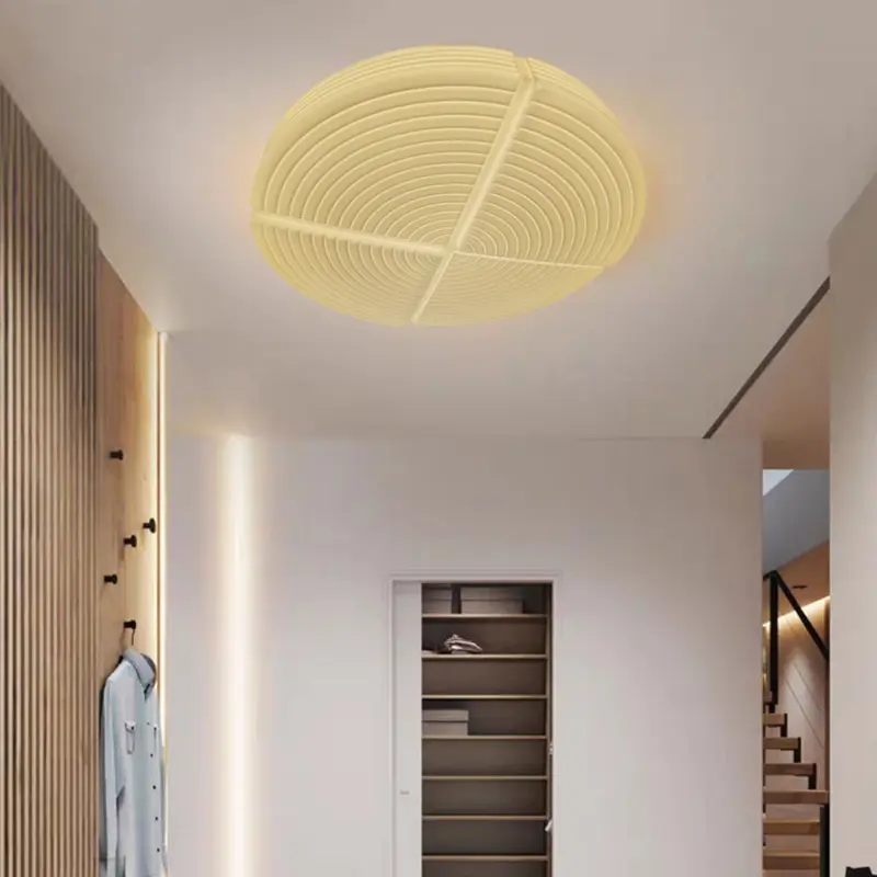 Ceiling Lamp main2.jpg