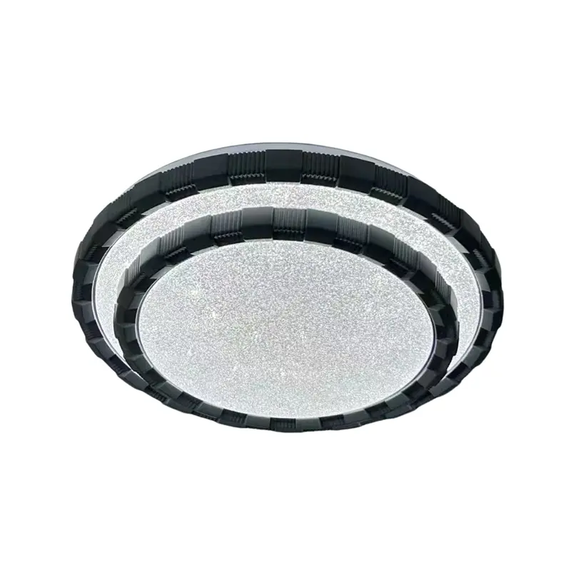 fashion ceiling light (1)