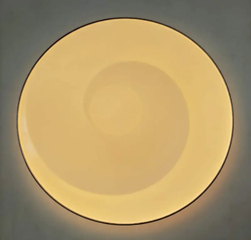 White Color Cover Simple Design Ceiling Light YW-CLB052 L...