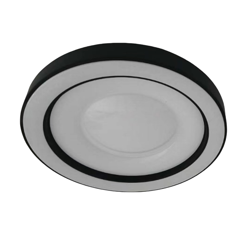 Universal Design Round Ceiling Light with Custom Service ...