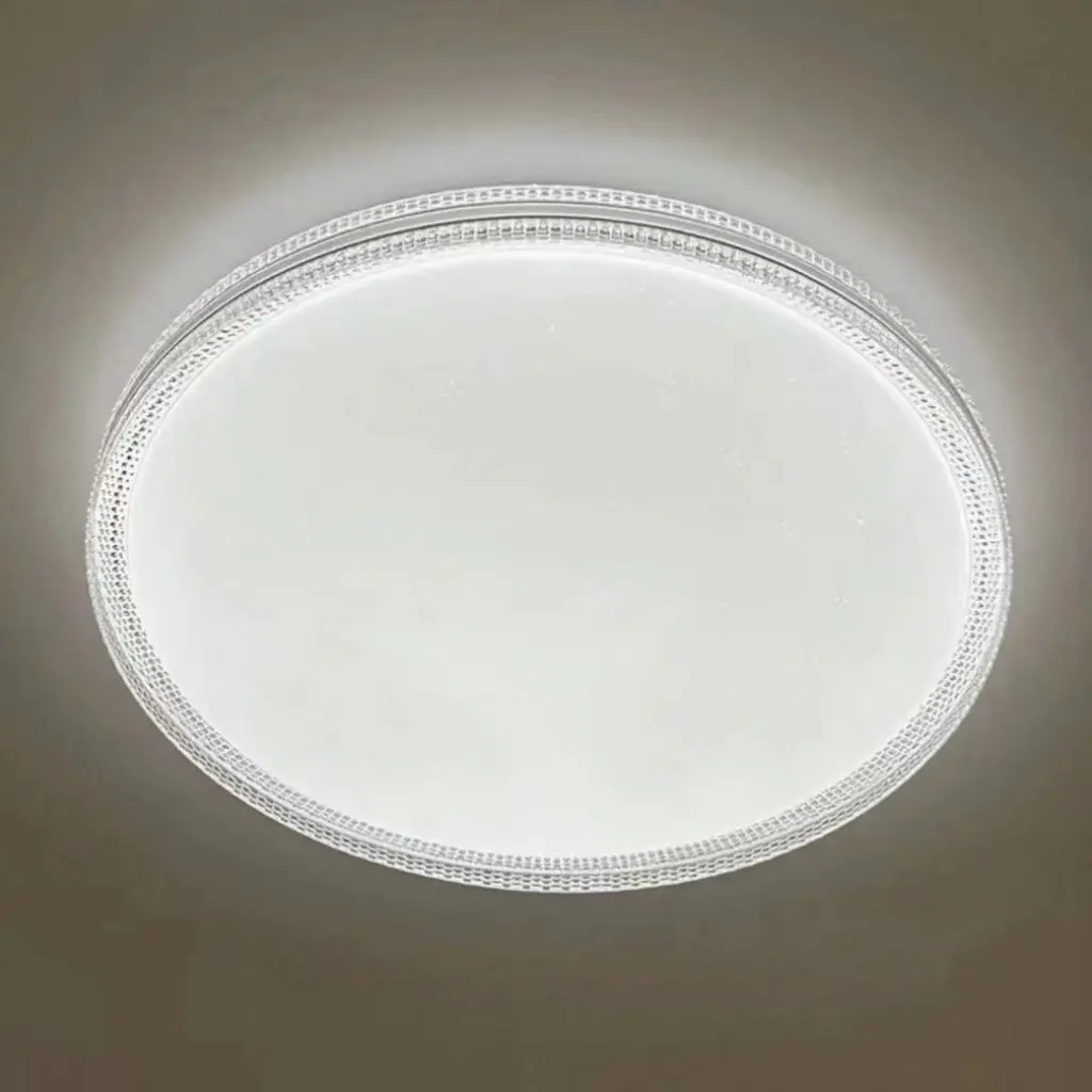 ceilinglamp (4)