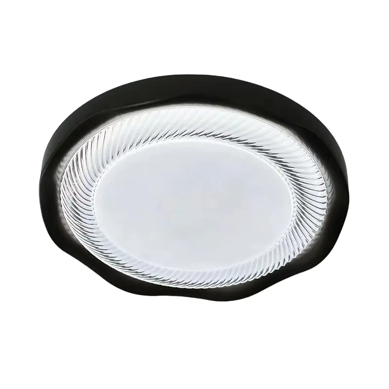 ceiling light (1)主图一