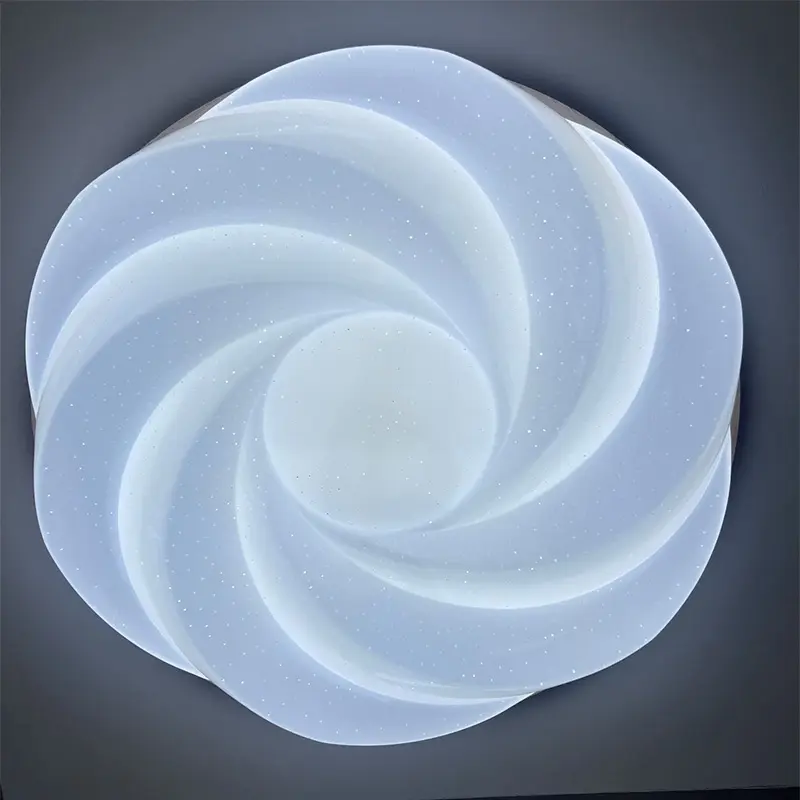 ceiling light 1.jpg