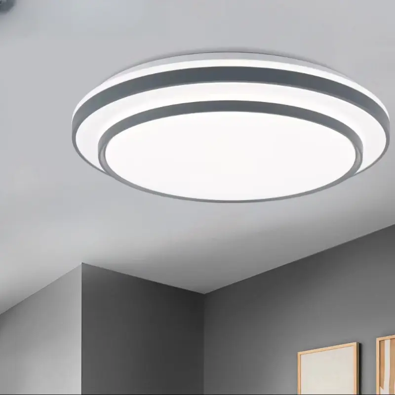 ceiling light2
