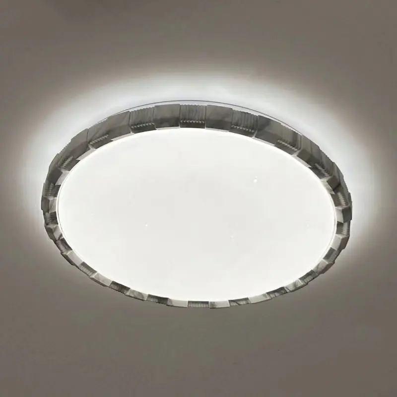 OEMODM Modern LED Indoor Ceiling Light for Living Room YW...