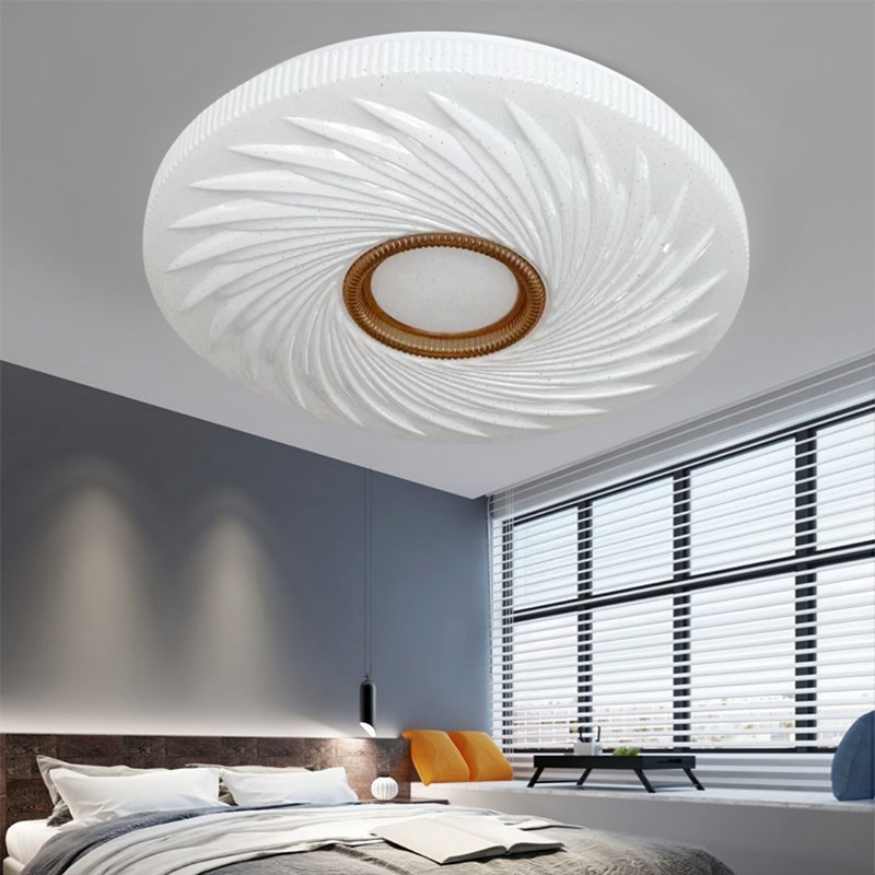 Ceiling light5 (5).jpg