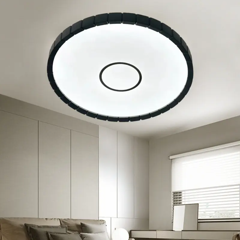 Round Black Indoor Lighting for Home Ceiling Light YW-CLB ( (5).jpg