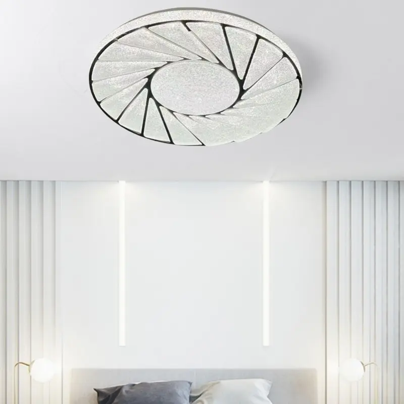 ceiling lamp (6)