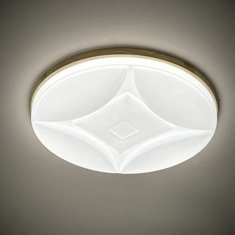 ceiling lamp (6)